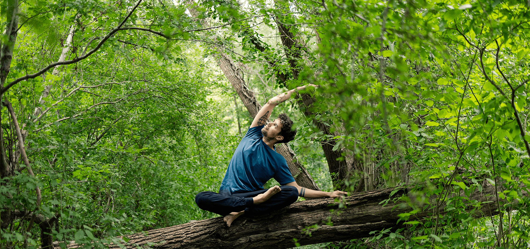 shamminski yoga Wald